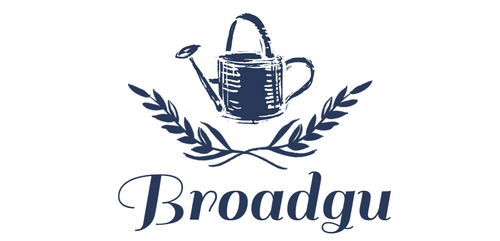 Broadgu